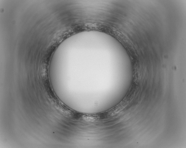 X0000088570706200706151646