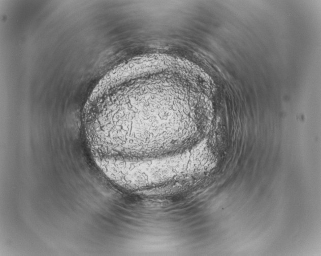 X0000088570707200706151646