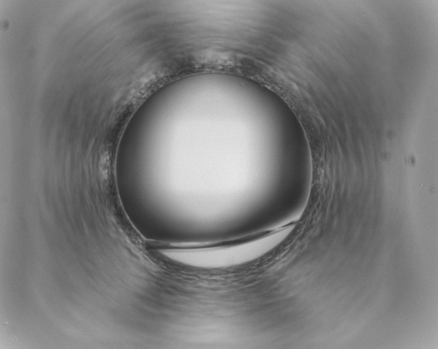 X0000088570708200706151646