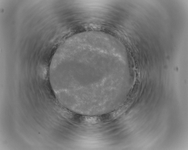 X0000088570709200706151646