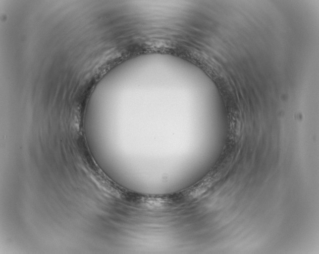 X0000088570710200706151646