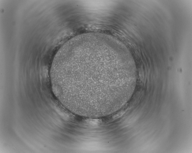 X0000088570711200706151646