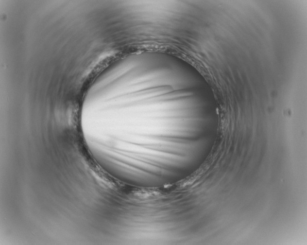 X0000088570712200706151646