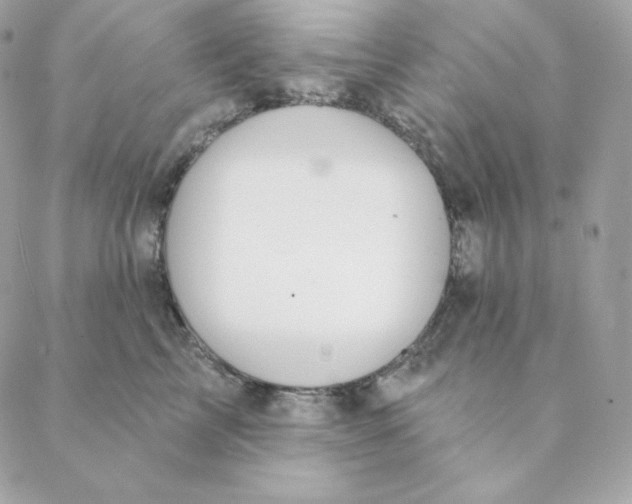 X0000088570713200706151646