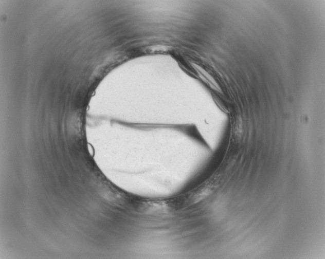 X0000088570715200706151646