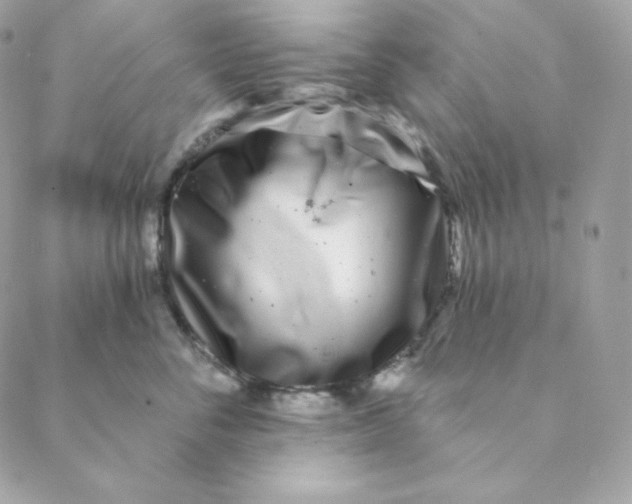 X0000088570716200706151646