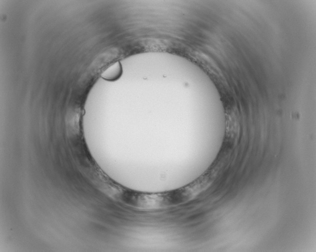 X0000088570717200706151646