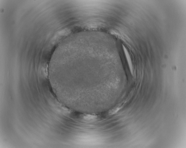 X0000088570718200706151646