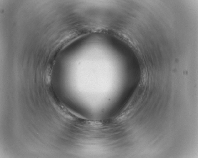 X0000088570719200706151646