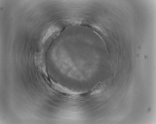 X0000088570720200706151646