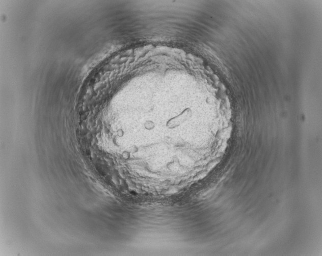 X0000088570721200706151645