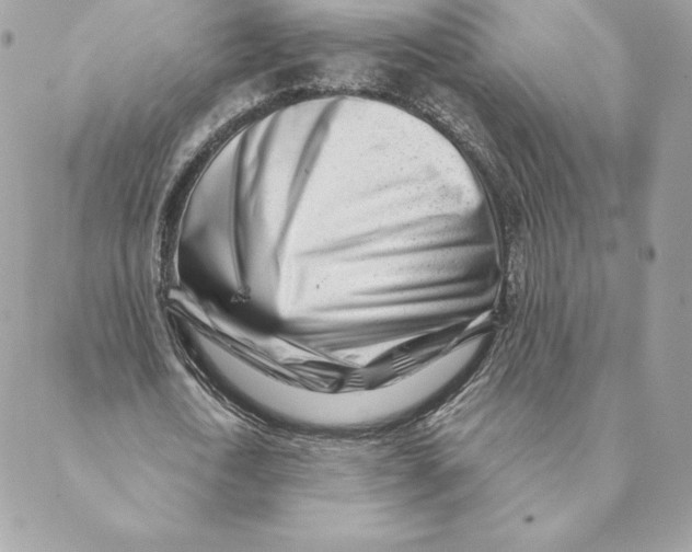 X0000088570722200706151645