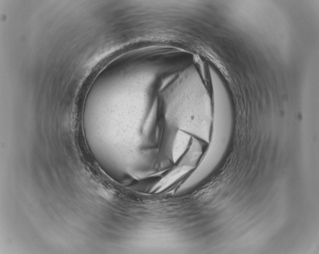 X0000088570724200706151646