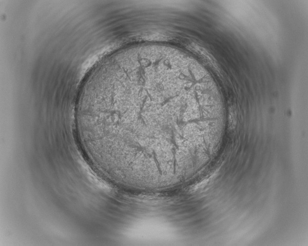 X0000088570725200706151646