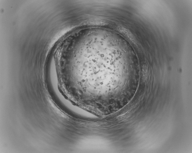 X0000088570726200706151646