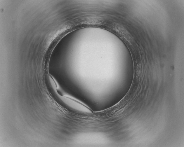 X0000088570727200706151646