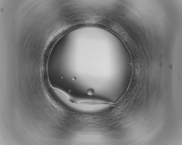 X0000088570728200706151646