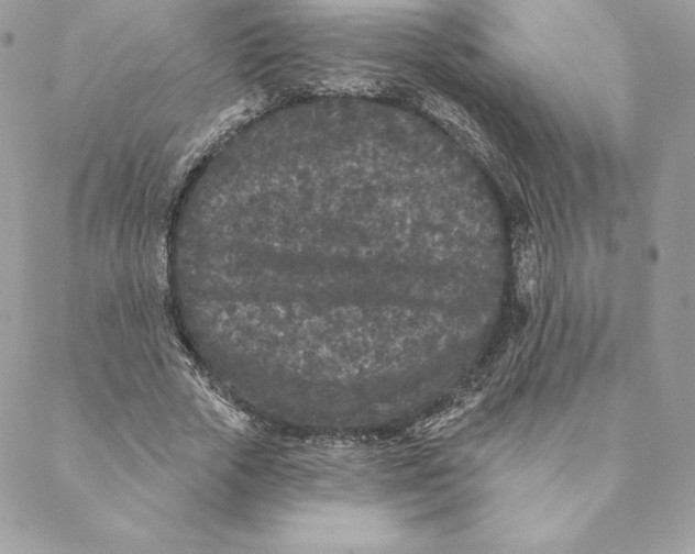 X0000088570729200706151646