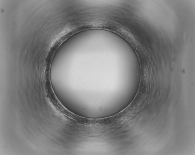 X0000088570730200706151646