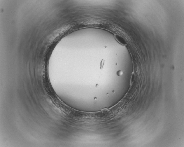 X0000088570732200706151646