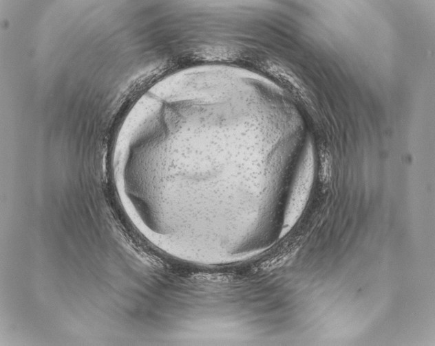 X0000088570733200706151646