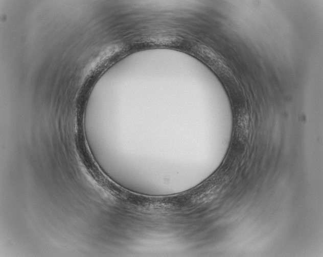 X0000088570734200706151646