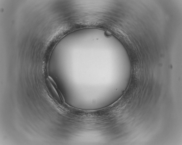 X0000088570735200706151646