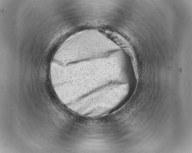 X0000088570736200706151646