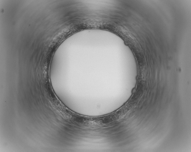 X0000088570737200706151646