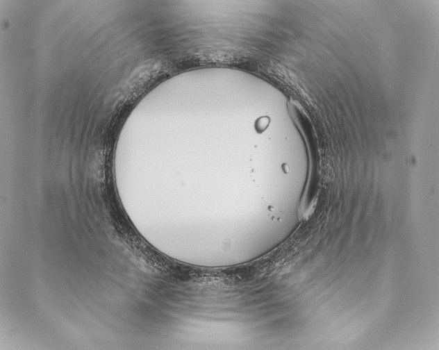 X0000088570738200706151646