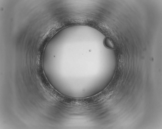 X0000088570739200706151646