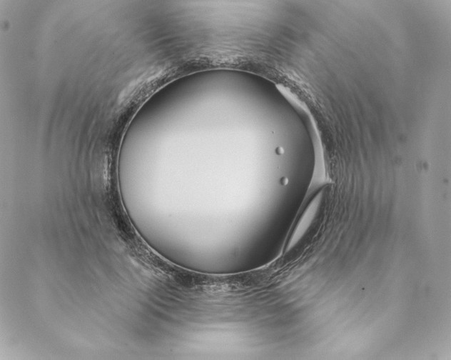 X0000088570740200706151646