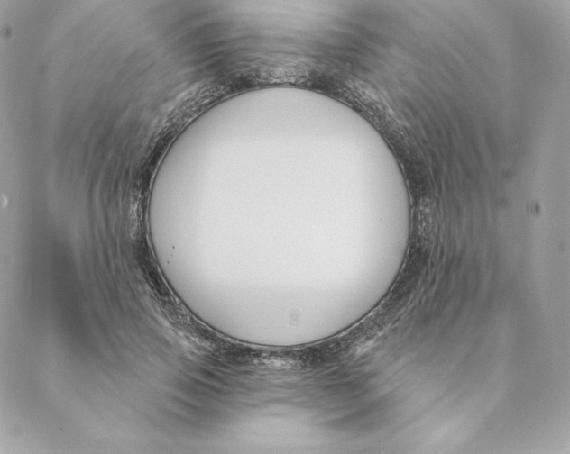 X0000088570741200706151646