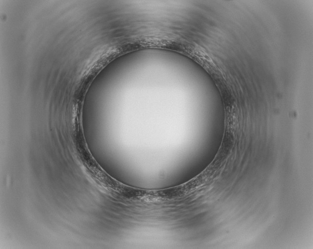 X0000088570742200706151646