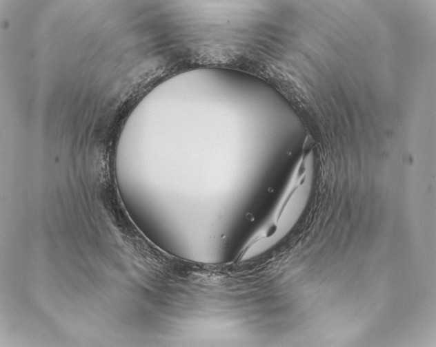 X0000088570743200706151646