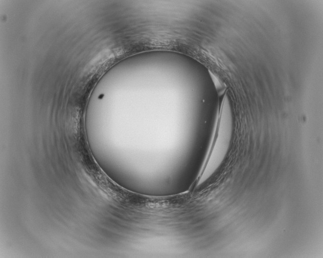 X0000088570744200706151646