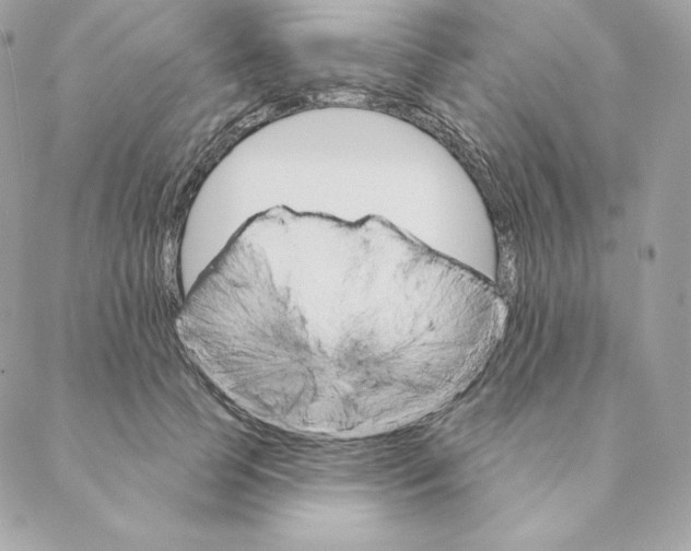 X0000088570745200706151646