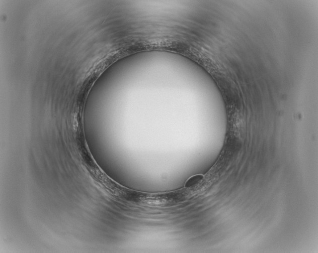 X0000088570746200706151646