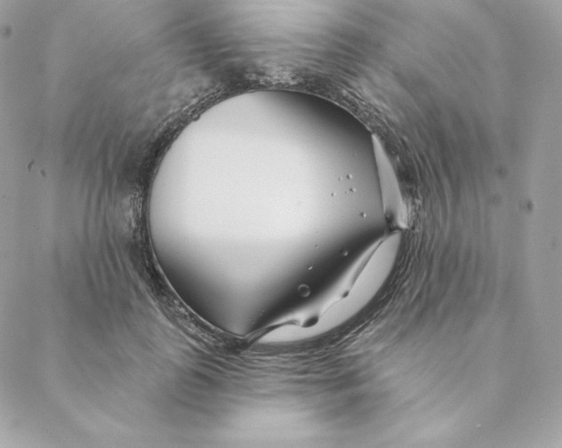 X0000088570747200706151646