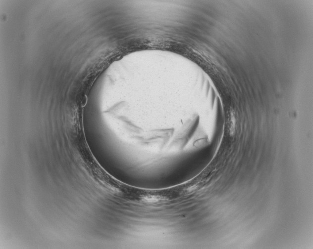 X0000088570748200706151646