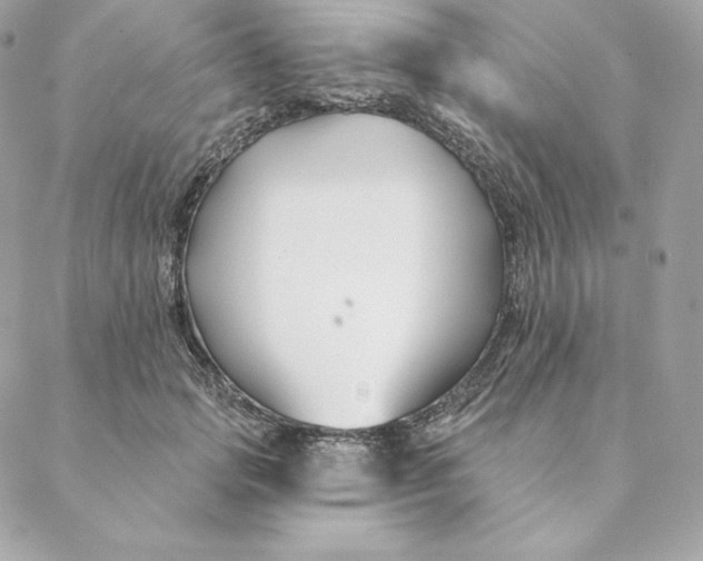 X0000088570749200706151646