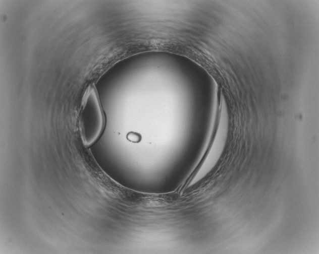 X0000088570750200706151646