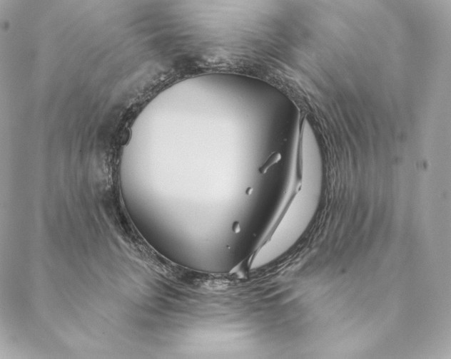 X0000088570751200706151646