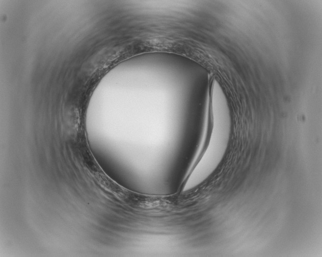 X0000088570752200706151646