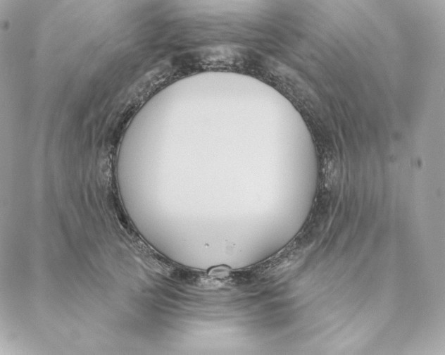 X0000088570753200706151646