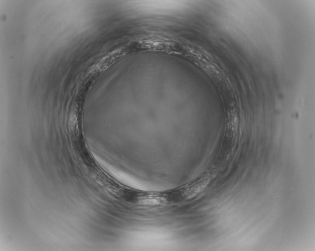 X0000088570754200706151646