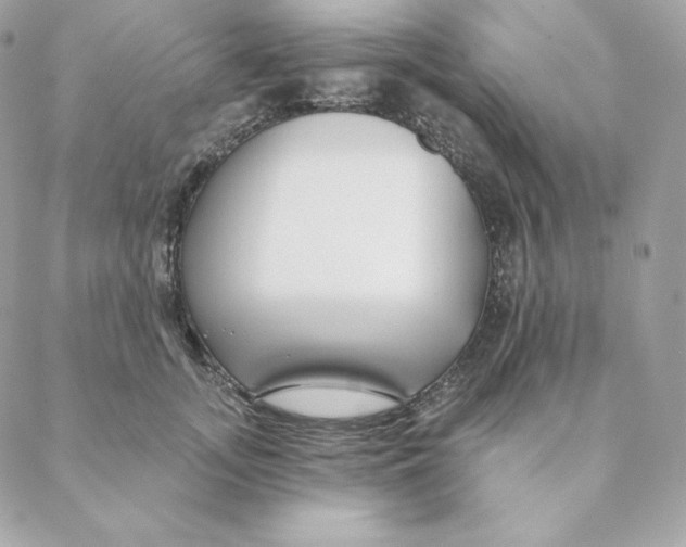 X0000088570755200706151646