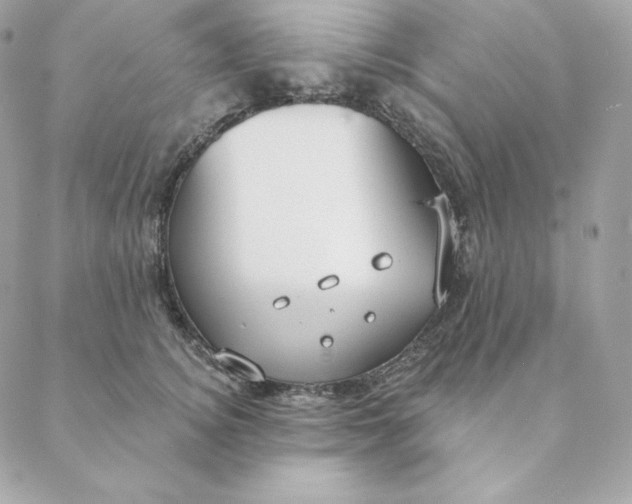 X0000088570756200706151646