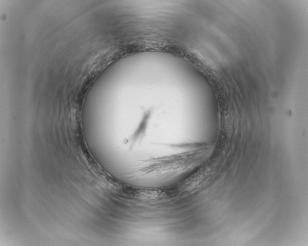 X0000088570757200706151646