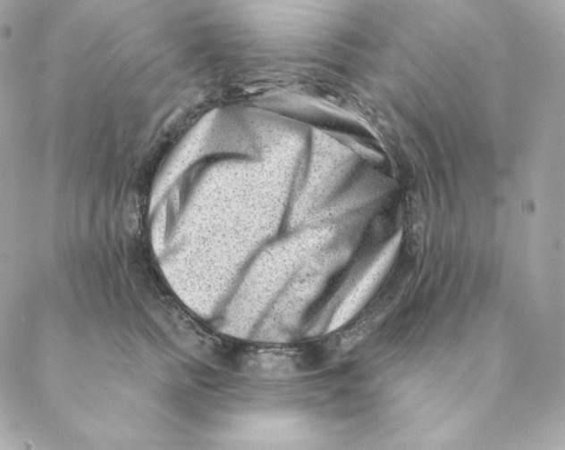 X0000088570758200706151646